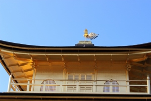 The Chinese Phoenix on top of the building